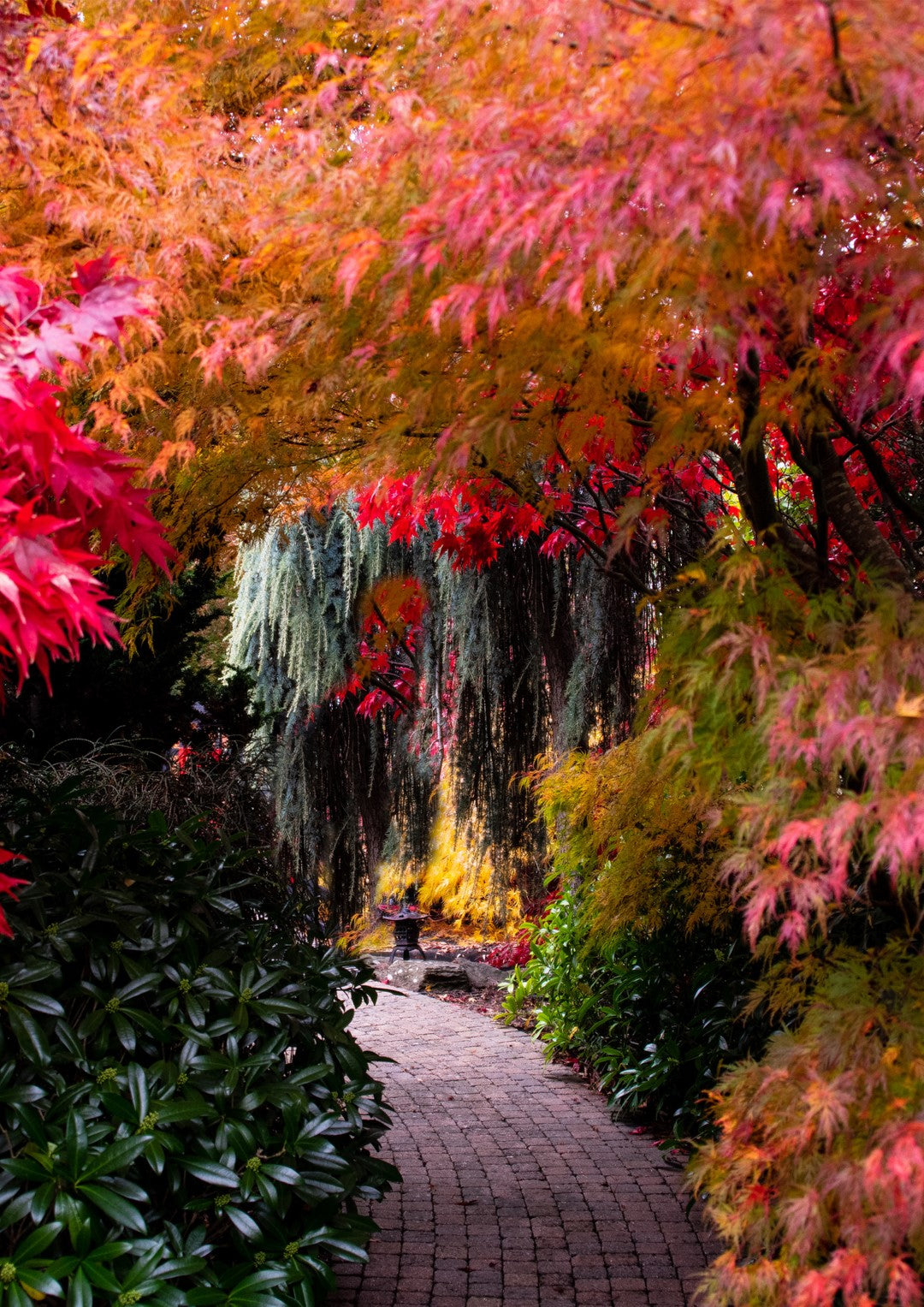Japanese Garden Autumn Colours 3D Wall Art